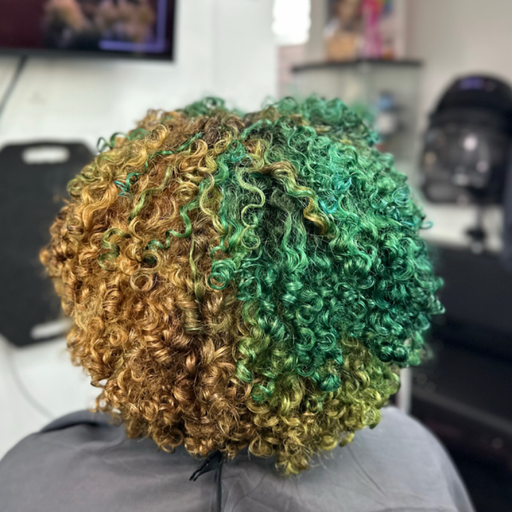 Curly Cut (New Clients) at By Silibeth in Bronx, NY