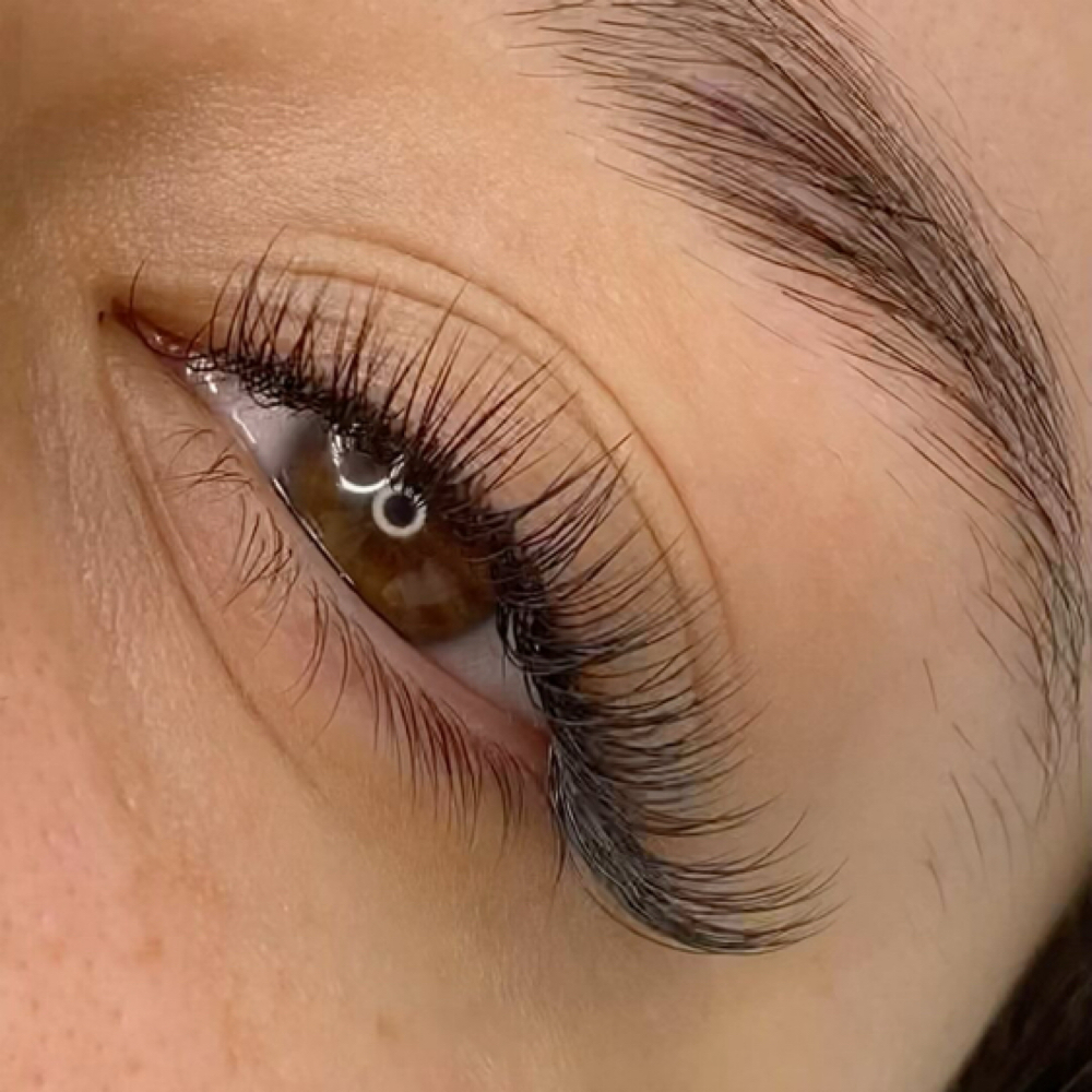 Classic Fill at The Empress Lash Bar & Studio in Richardson, TX