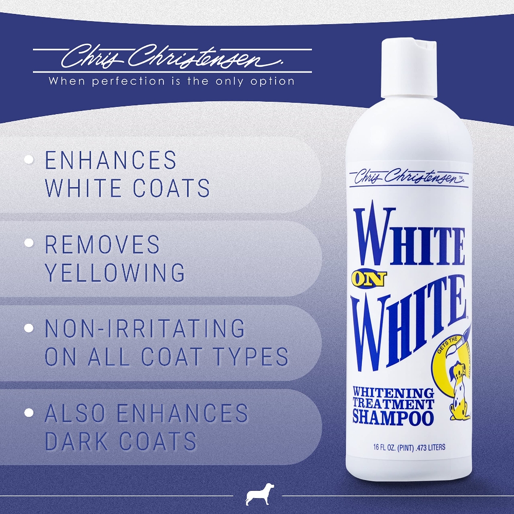 White On White Shampoo