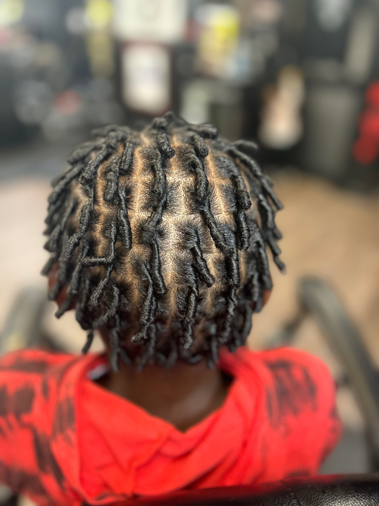 Starter Locs