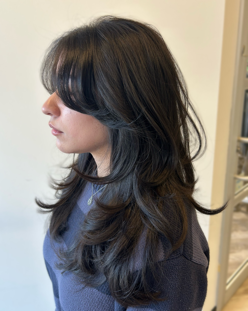 Haircut + Treatment + Style