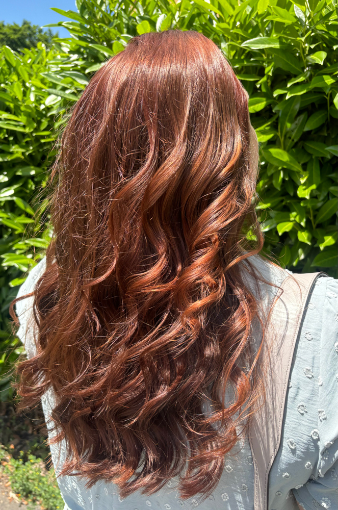 Roots Only Touch Up