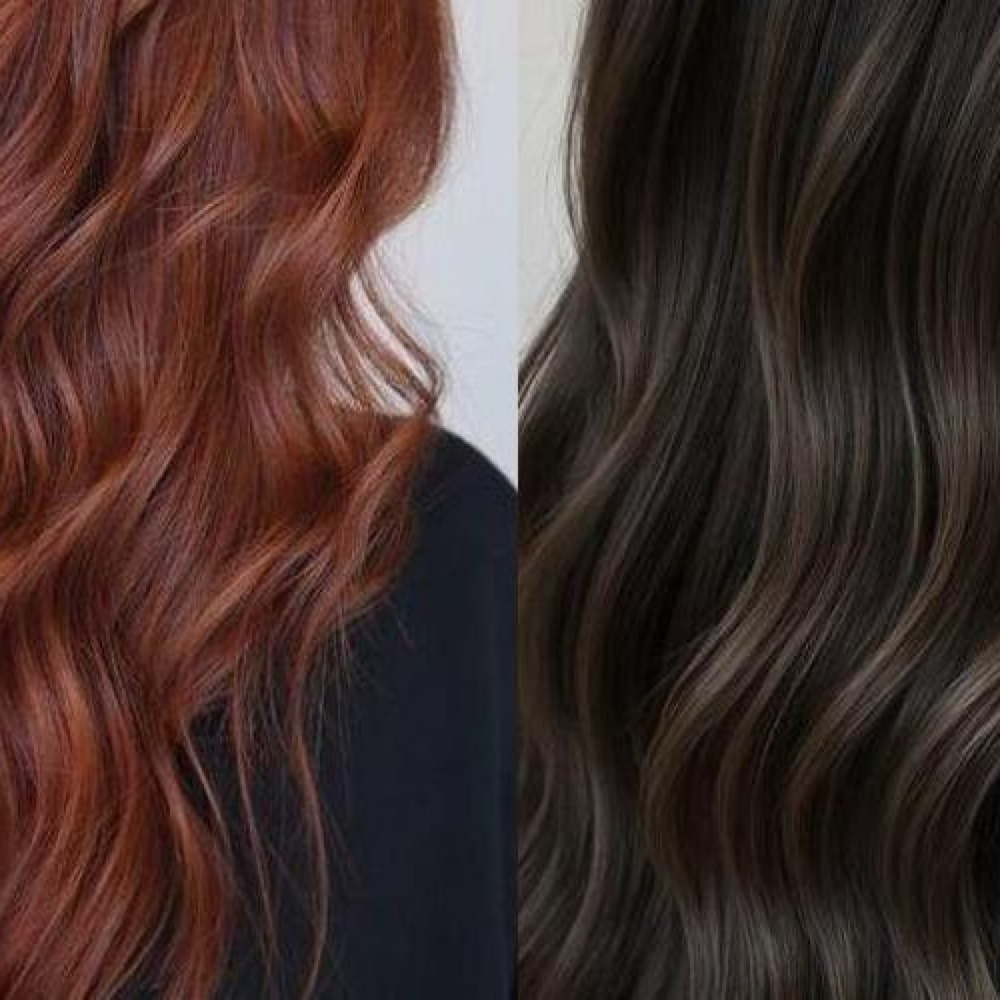 Signature Color Refresh at The Hair Conservatory in Raleigh, NC