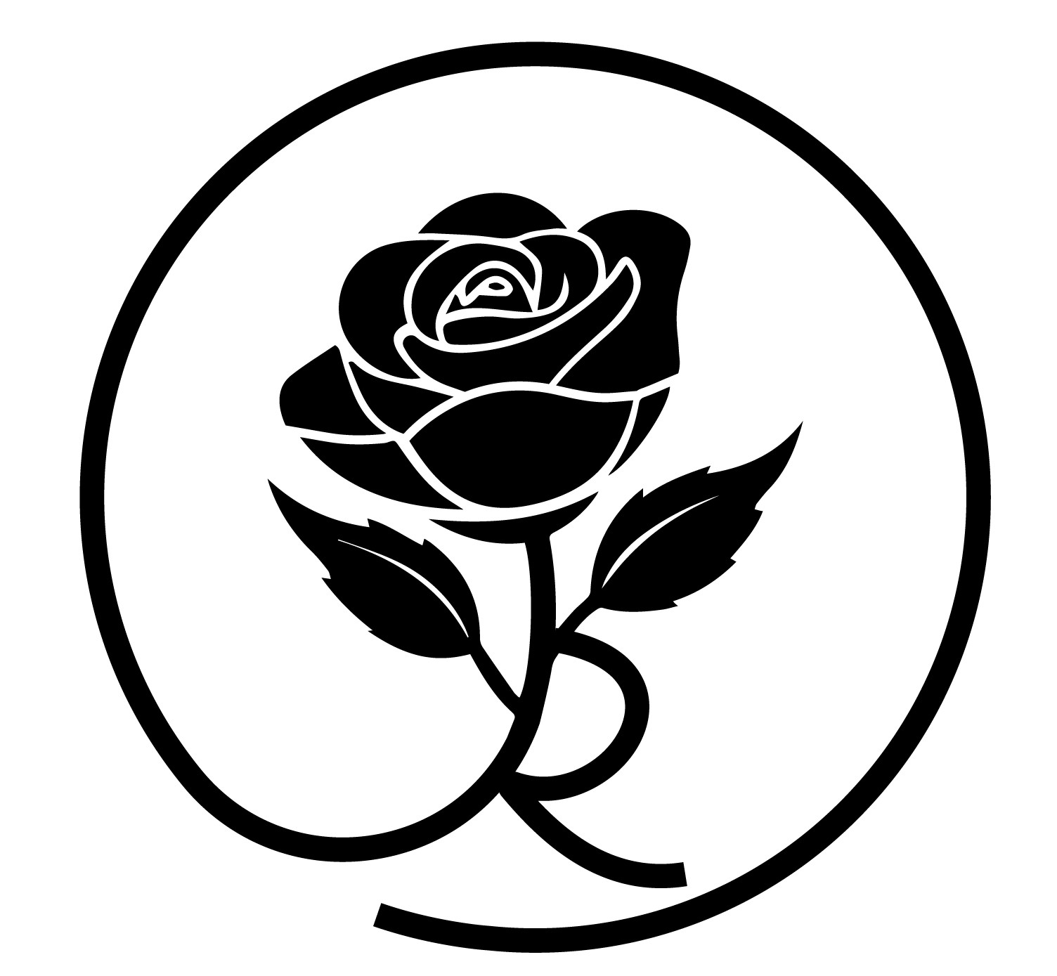 Eyebrow Wax at Aly Rose Beauty in Grafton, WI