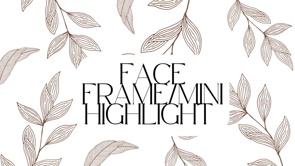 Face Frame/ Mini Highlight