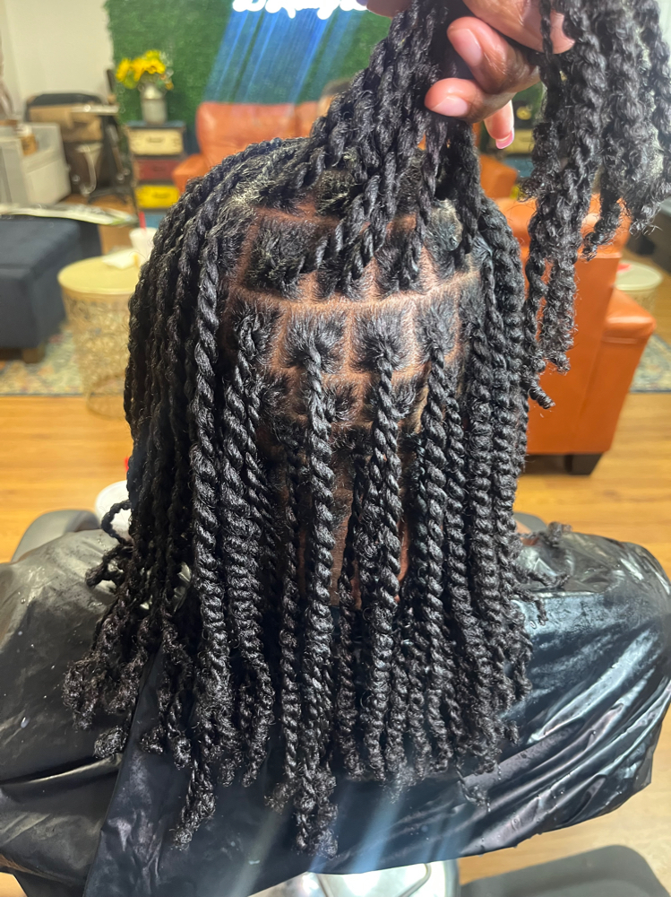 2 Strand Twist at Dluxurybar in North Augusta, SC