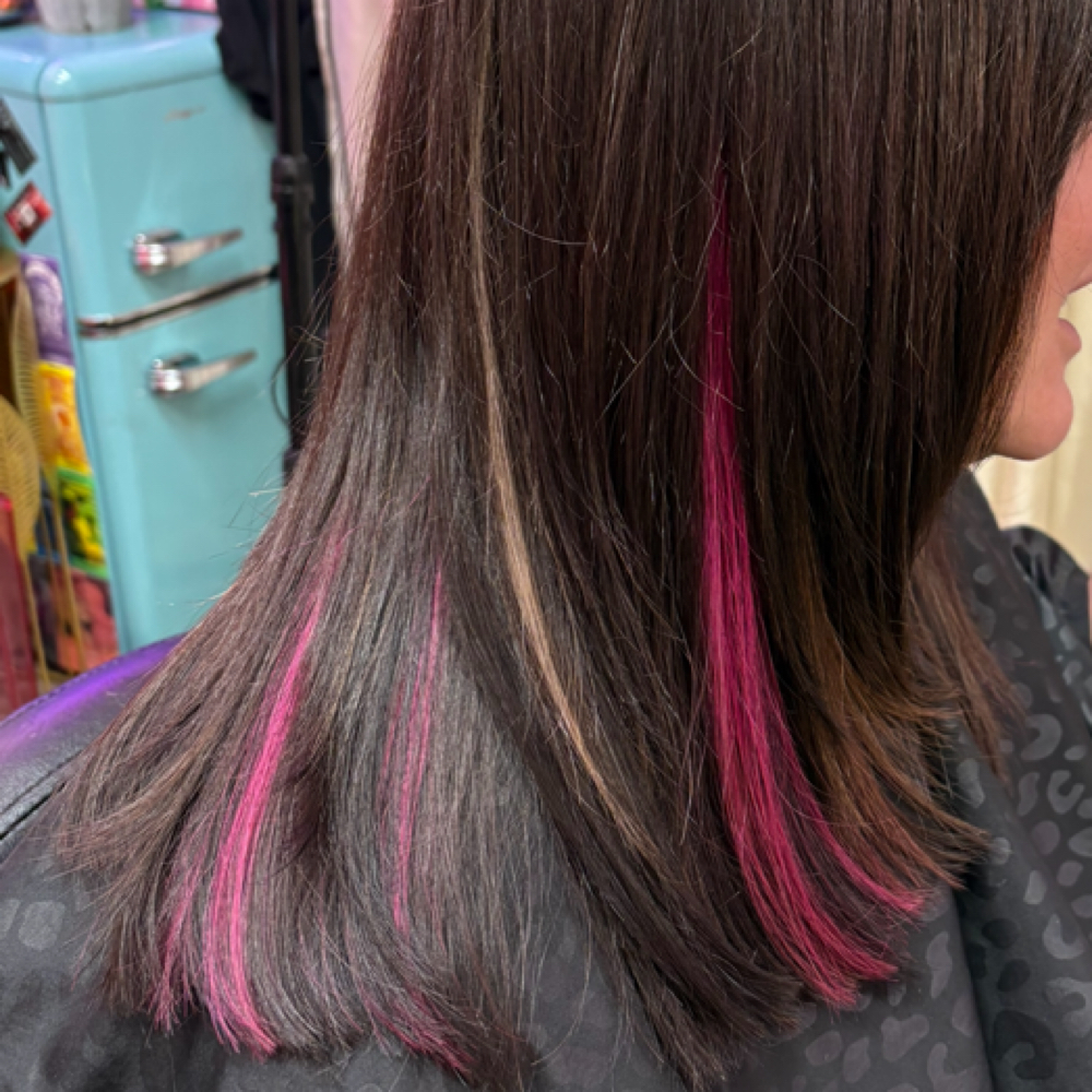 Single Process Retouch w/ Minilight at Hair Design By TIFFANY Rafalko in Clearwater, FL