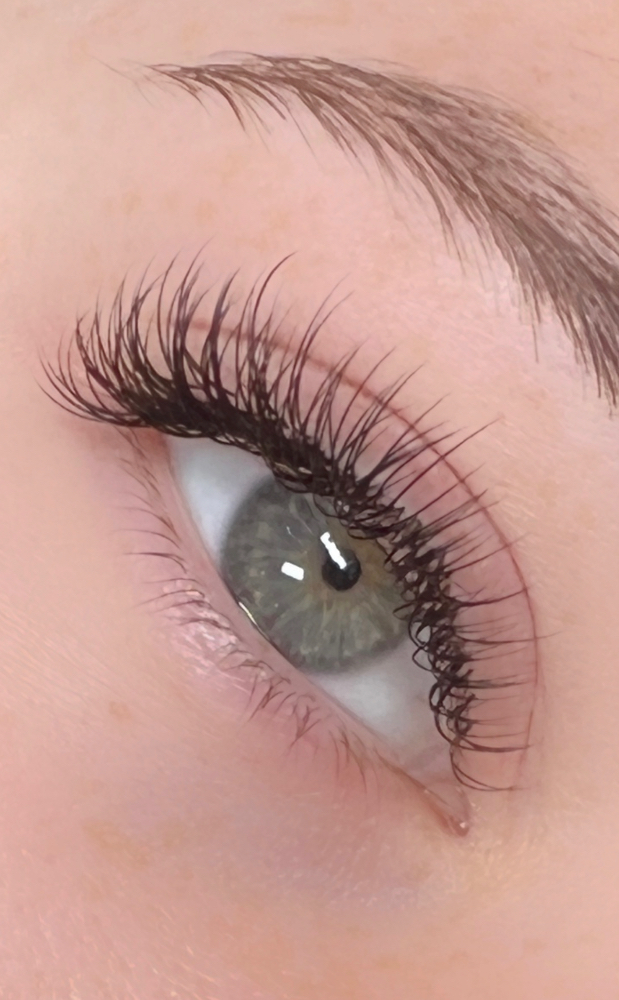 Classic Lash Refill (2 Week)