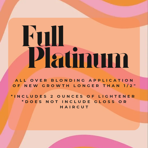 Full Platinum at Eco Hair + Beauty in Chesterfield, MI