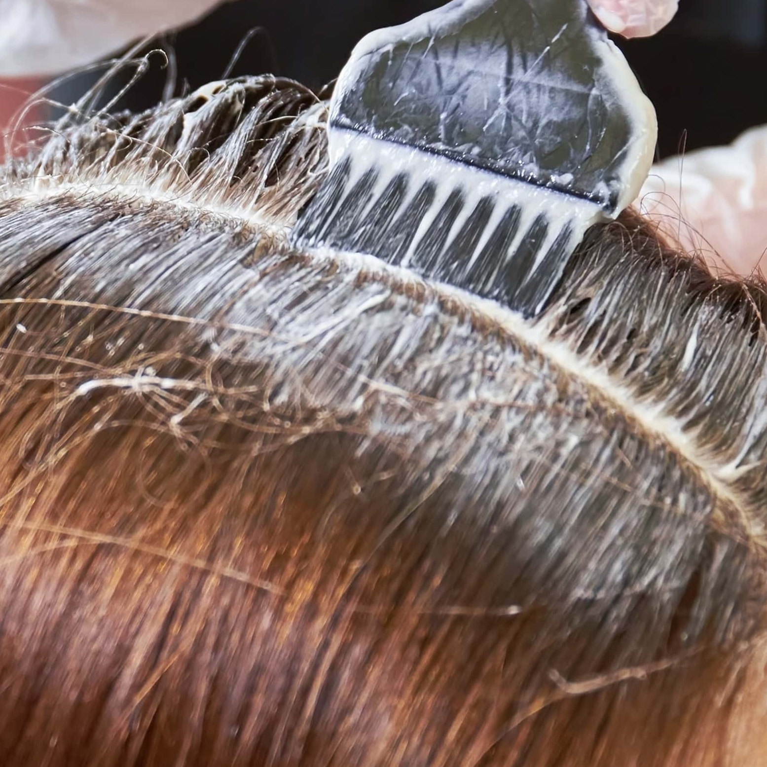 Root Touch-Up at Shear & Color in Goleta, CA