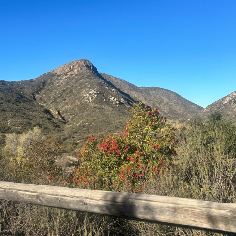 Prenatal Visit—90 Min (Private Pay)