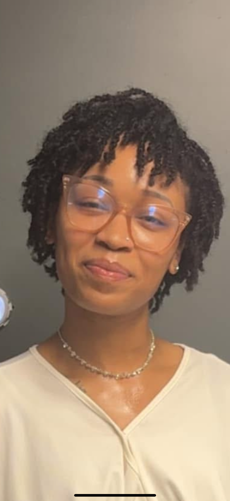 Mini Two Strand Twists