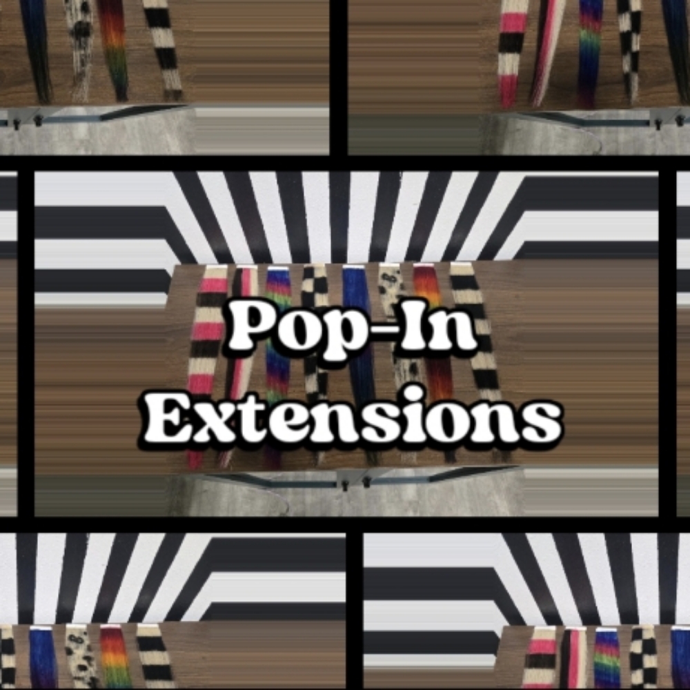 Pop-In Extensions at Hypnotic Hair LLC in Roanoke, VA