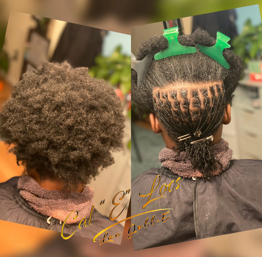 Starter Locs