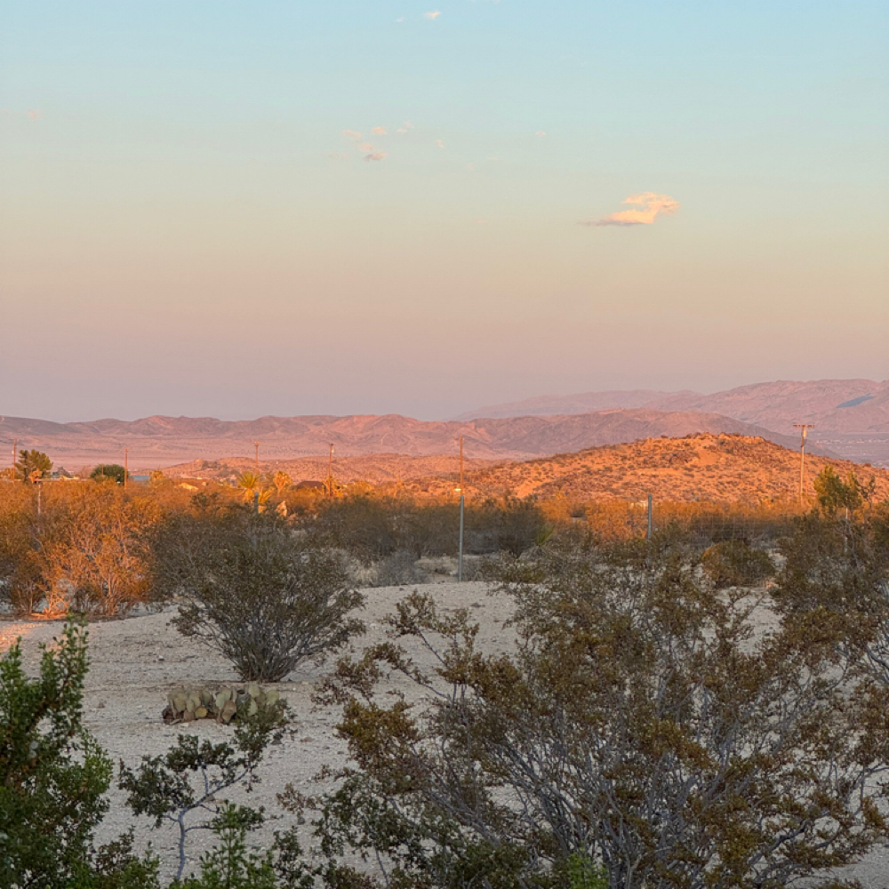 On Scalp Lighter at Indigo Salon @ Beaumont in Lexington, KY