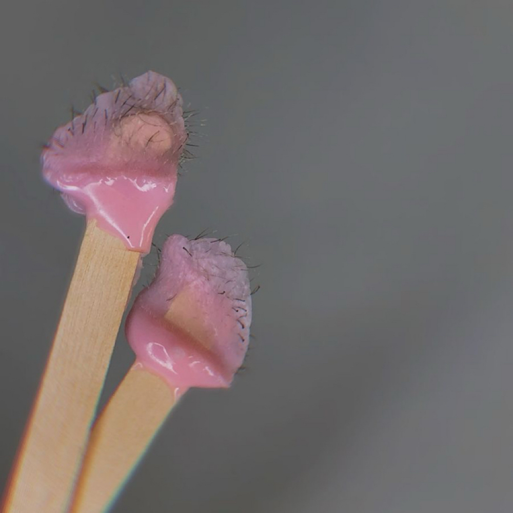 Nose Wax at Copper 22 Salon in Mineral Wells, WV