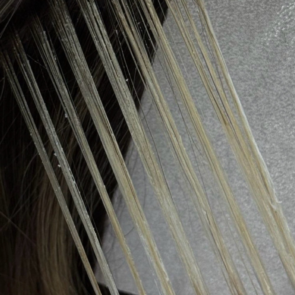 Partial Highlight at A Touch of Paris in New City, NY