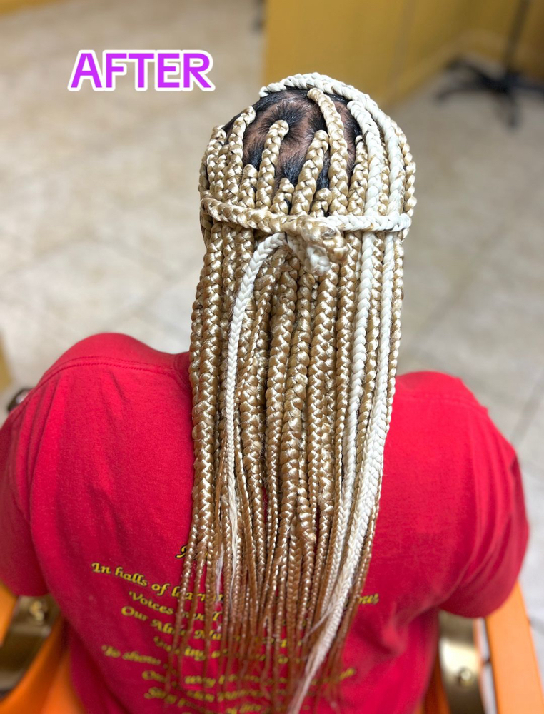 Braids Over locs