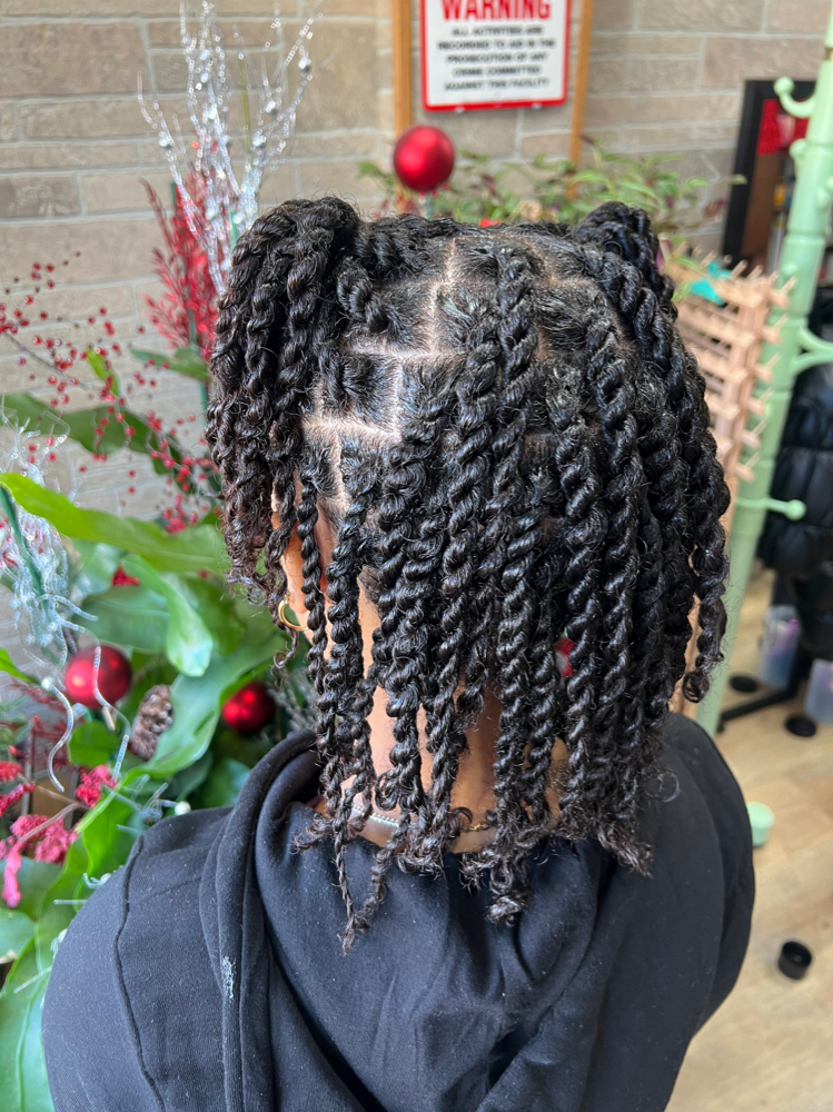 Natural Hair Twists Full Head