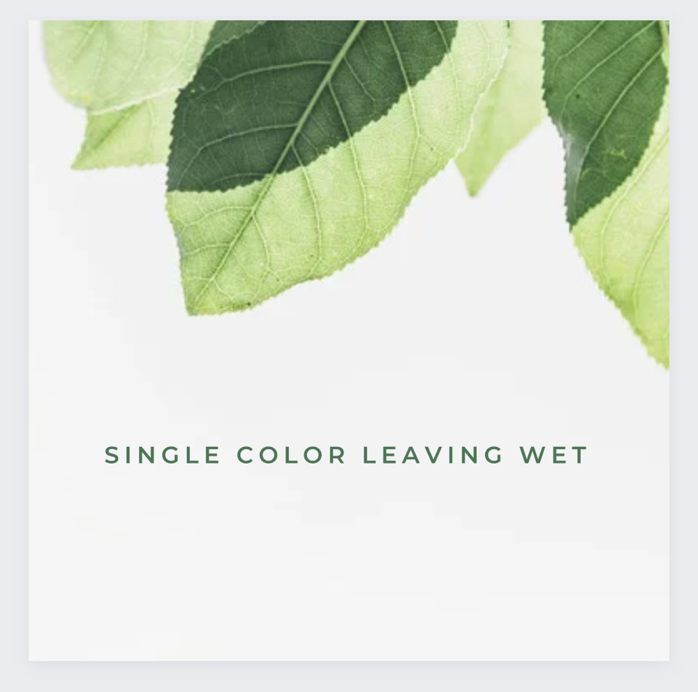 Single Color Leaving Wet