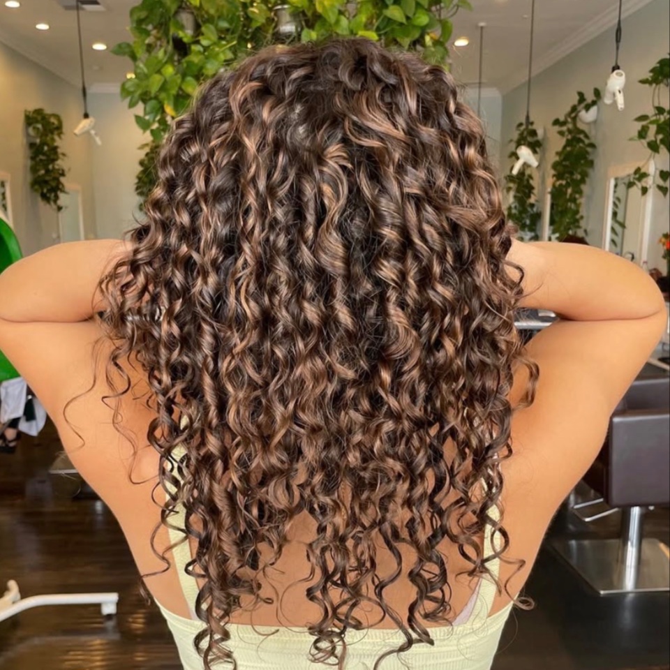 Full Highlight Or Balayage at Hair by Alexandra in San Diego, CA