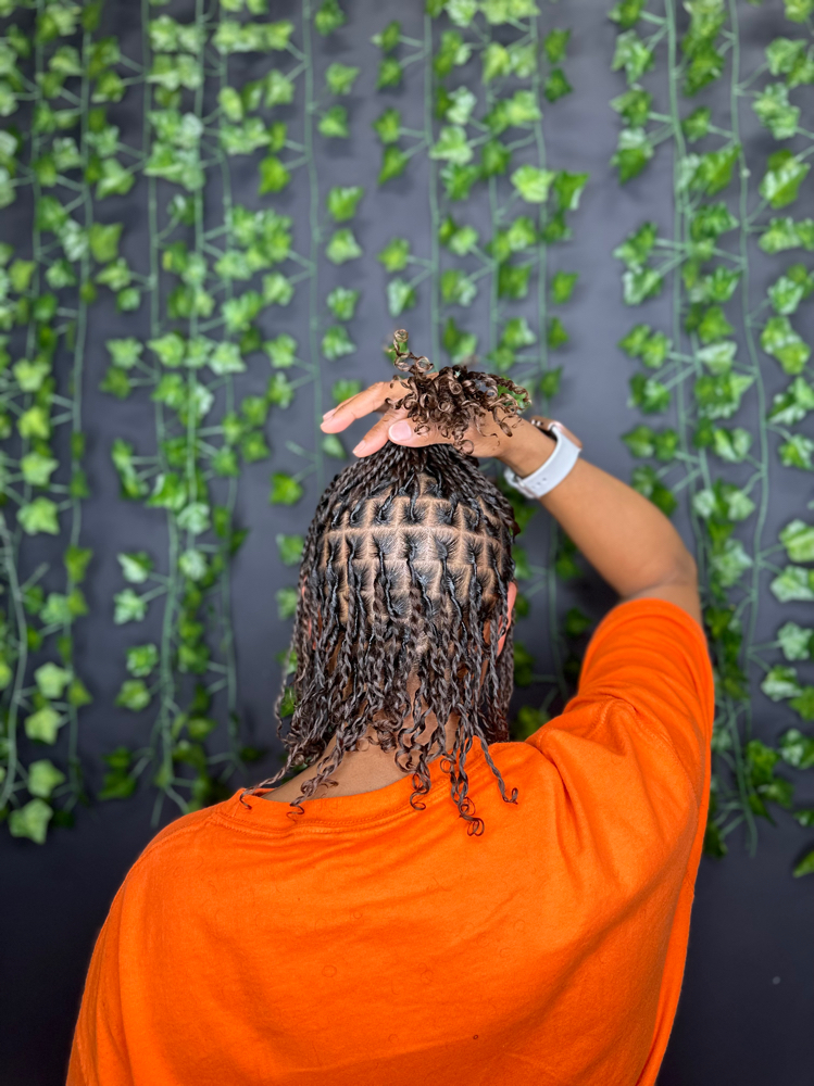 Starter Locs Coils/ two strand