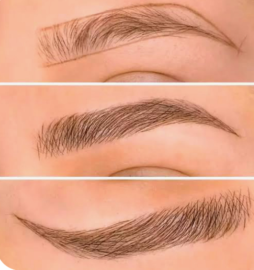 Brows Touch Up (6-12 weeks)