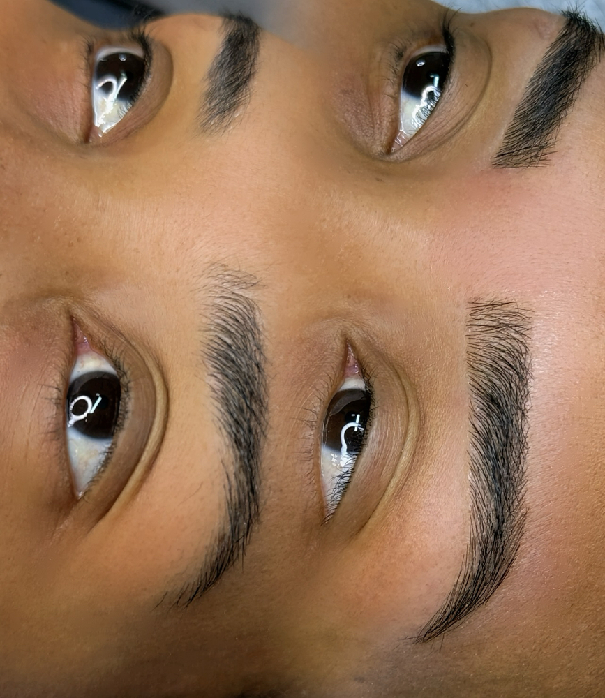 Brow Extensions Medium Volumen