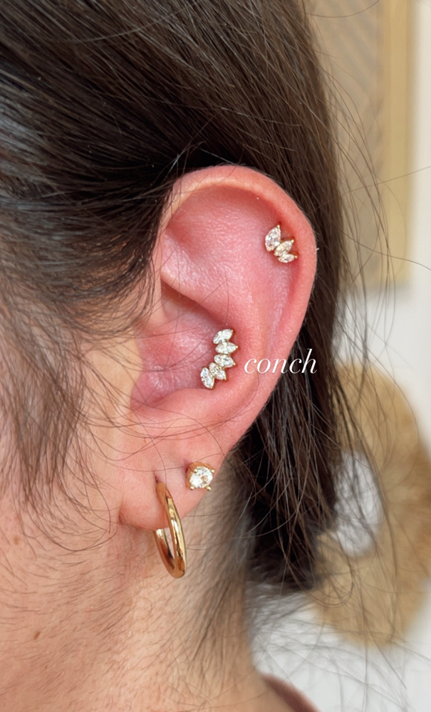 Conch Piercing