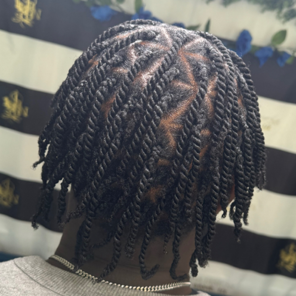 Adult Two Strand Twist at 1143 Designs Network LLC in Chesapeake, VA