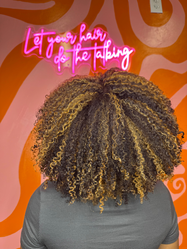 Curly Cut & Full Highlight