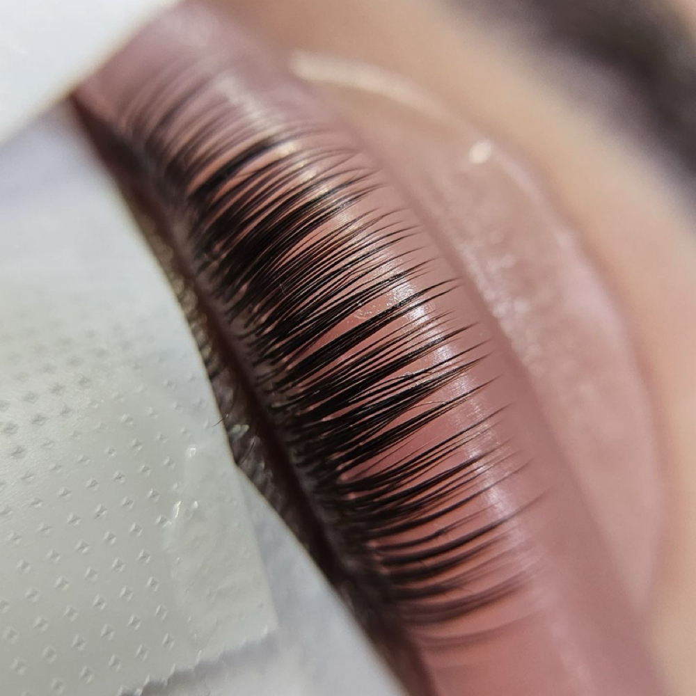 Lash Lift & Tint at B. Esthetics + Co. in Gaylord, MI