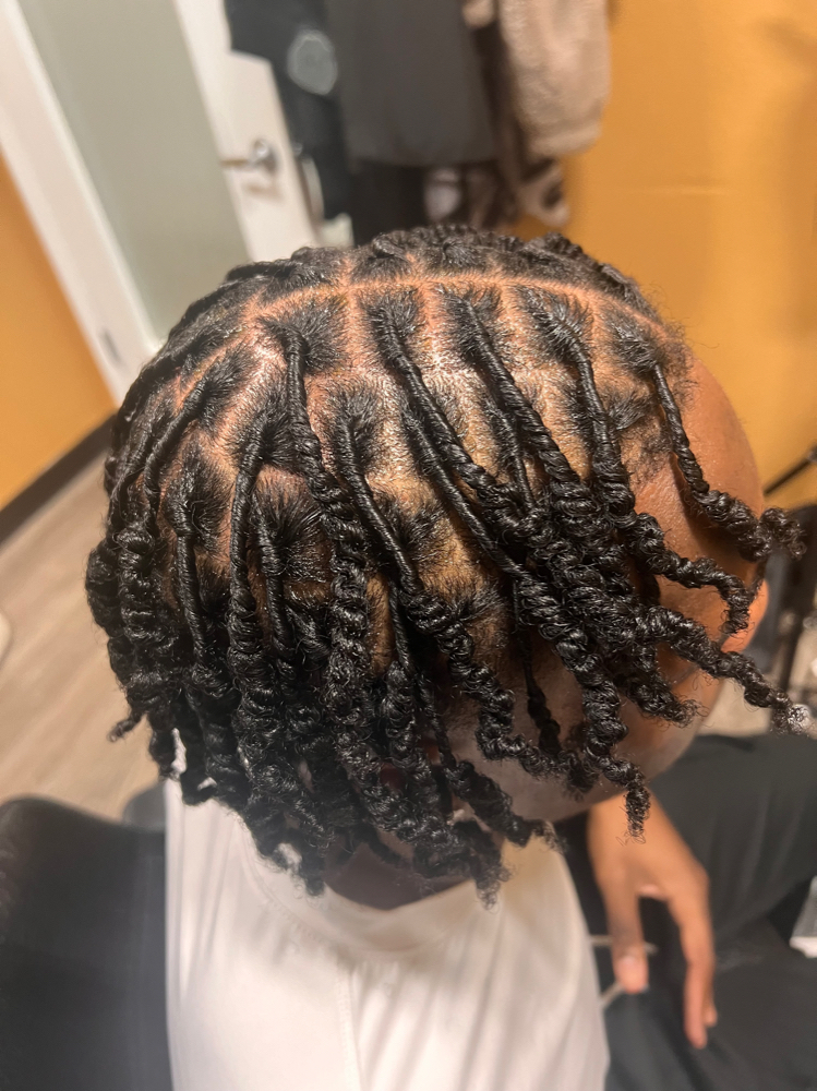 Starter Locs (Coils/2Strand Twist)