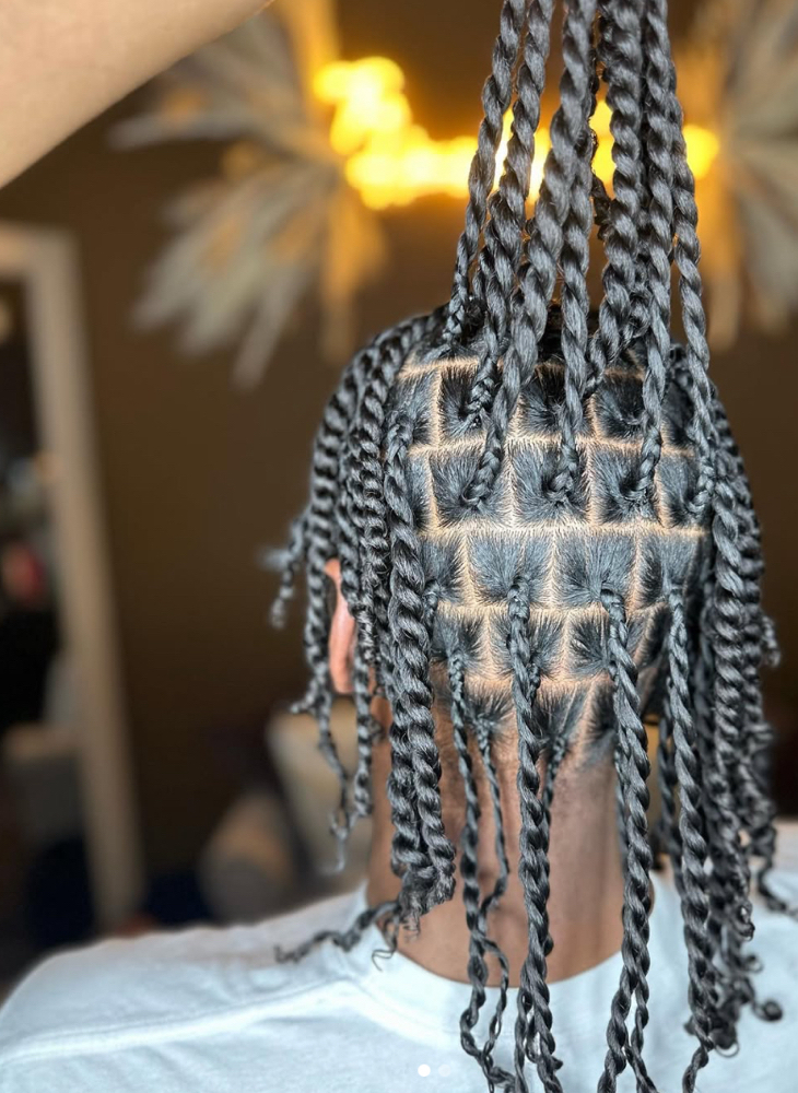 Natural 2 Strand Twist at Eryka’s Hair Couture in Midlothian, IL