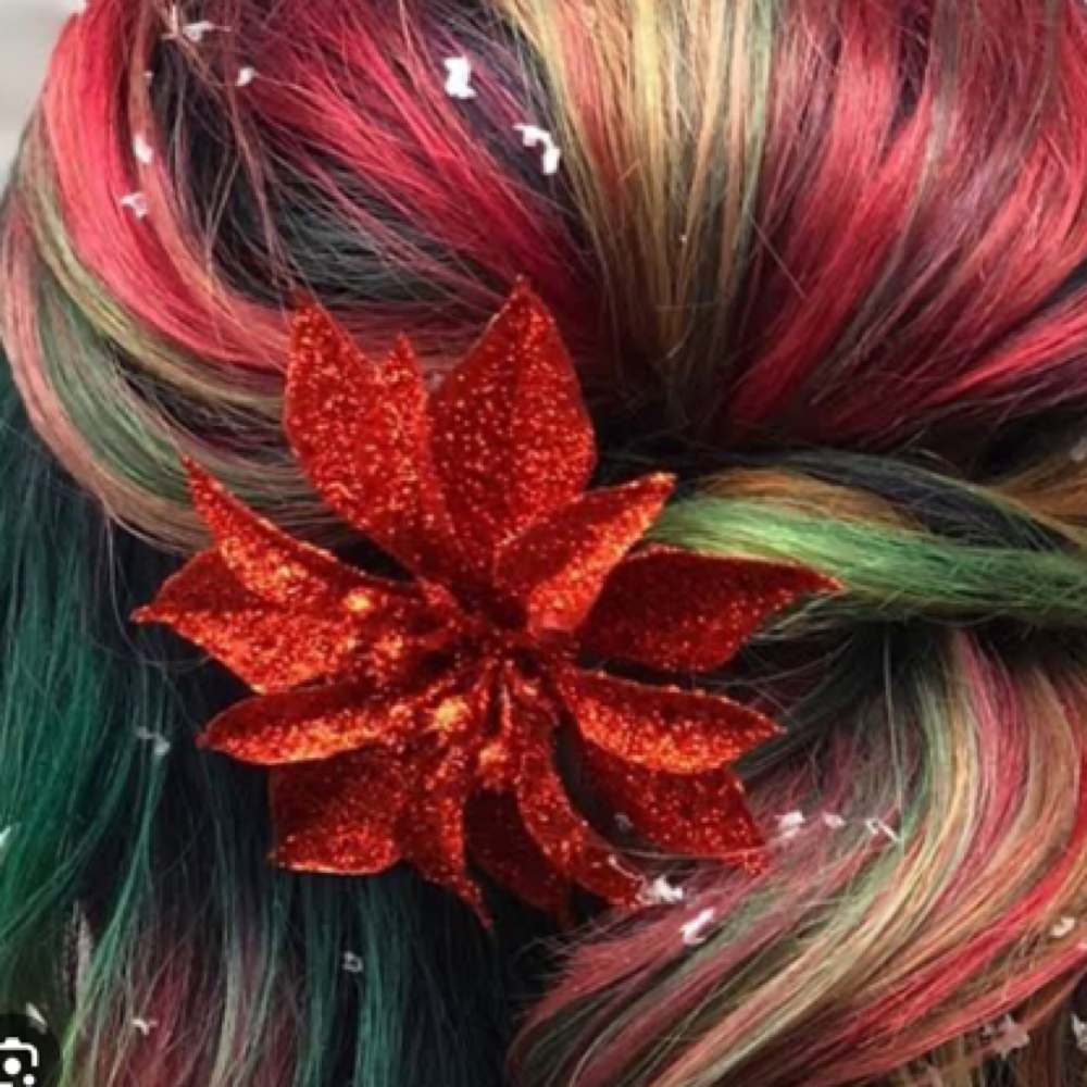Holiday Root Package at Beauty Boss Salon in Sarasota, FL