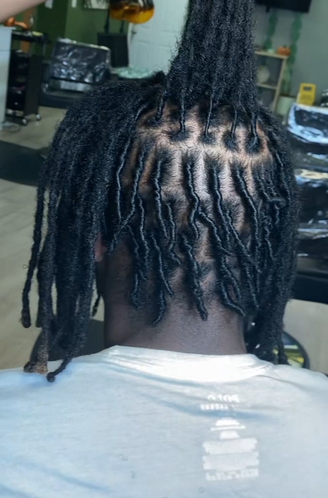 Starter locs (BACK OF HEAD ONLY)