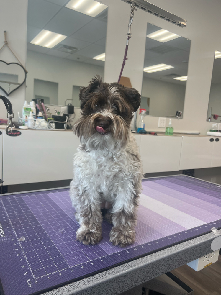 Dematting Fee (Small Mats Only)