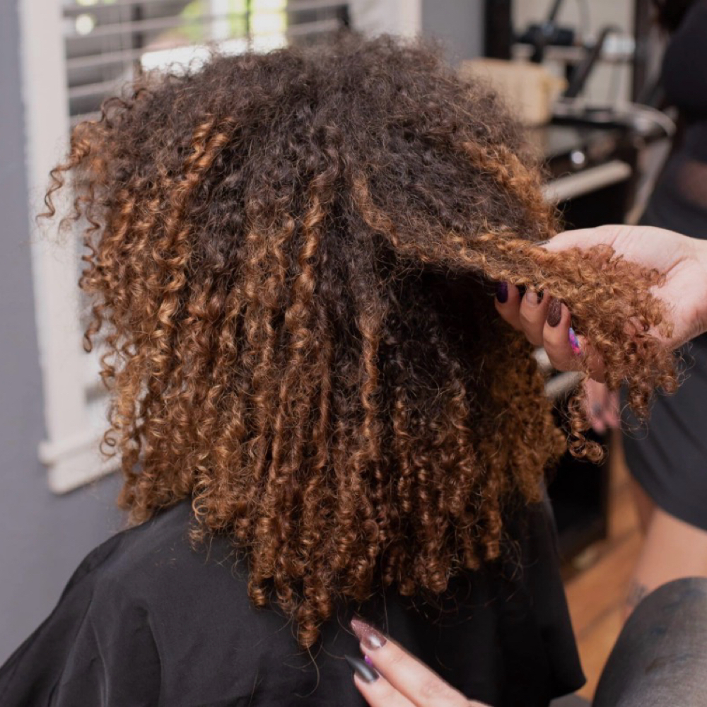 Curly Cut at Moss and Mane-HARRIMAN Location in Harriman, TN
