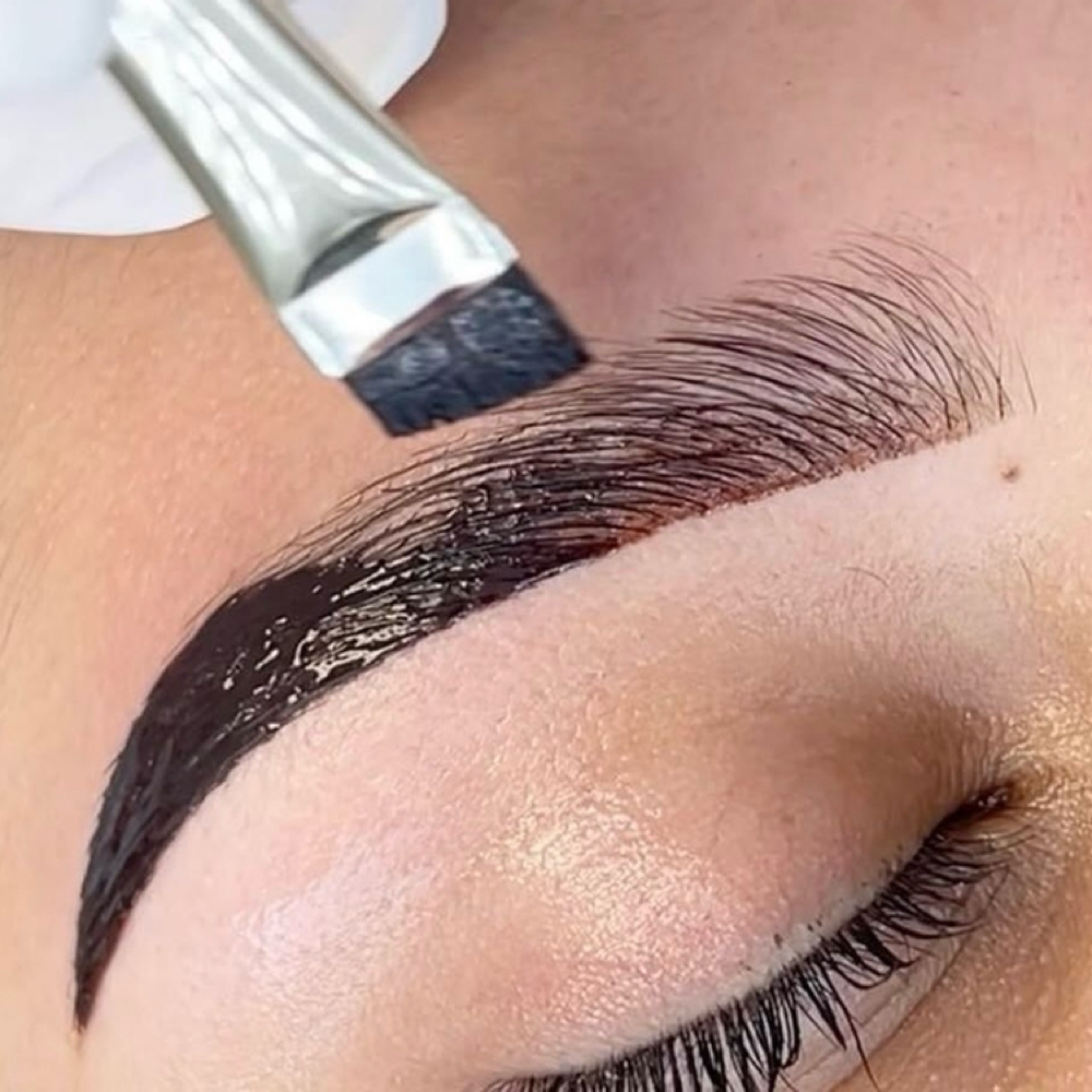 Brow Lamination & Tint at Gina’s Hair Room in Haltom City, TX