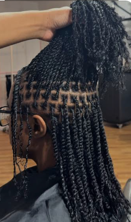 2 Strand Twists at Hair N Nails By La in Loganville Ga, GA