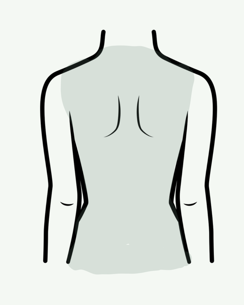 Full Back