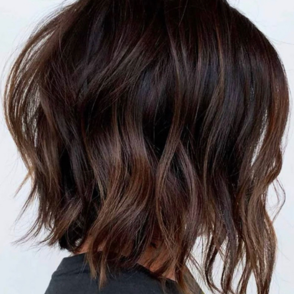 Lived In Color & tone/ Lowlights at White Cactus Salon in Montrose, CO