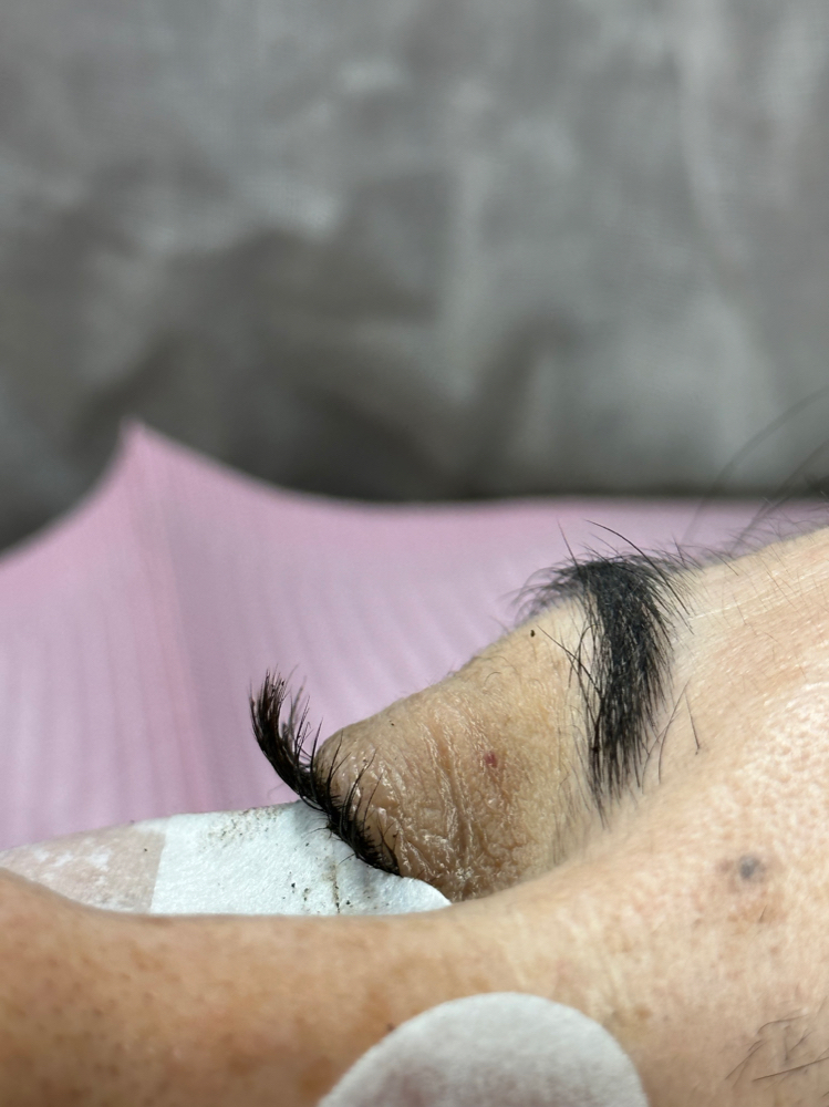 lash lift + tint