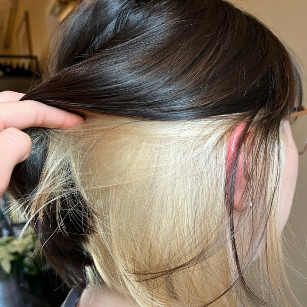 Custom Color With Haircut at Mane Haven at Elite Salons and Suites in West Chester, PA