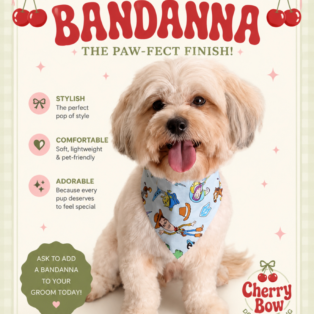 Bandanna at Cherry Bow Dog Grooming in Alvarado, TX