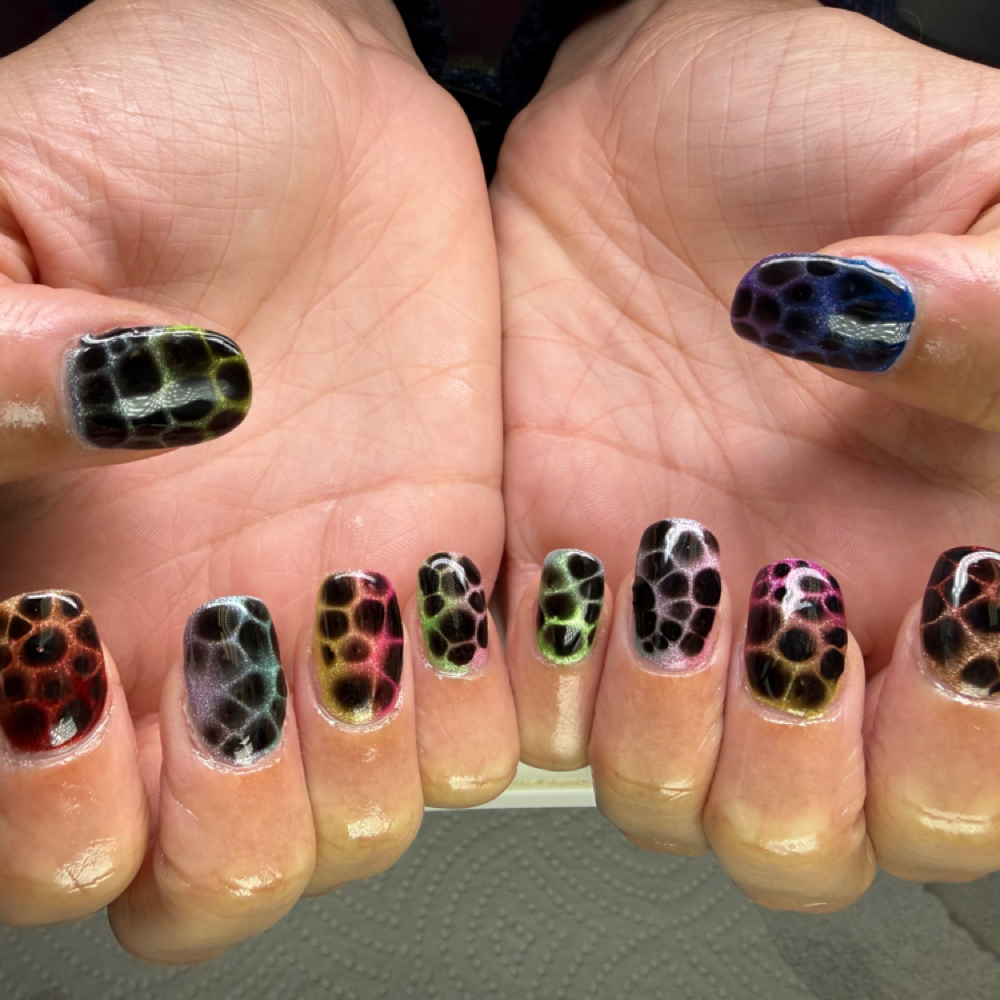 Gel X Full Set at Tiny Canvases by TIFF in Springfield, OR