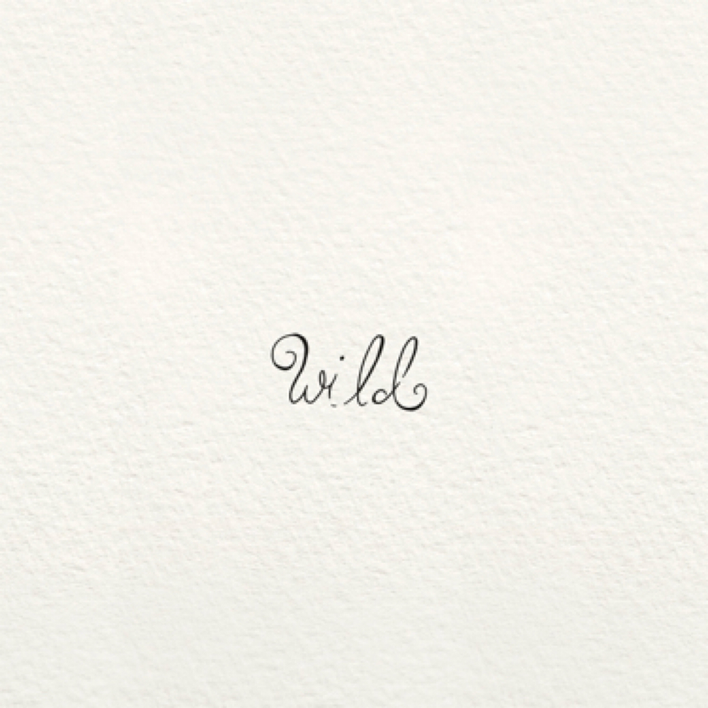 Wild at Bear Angel Tattoo in Vandalia, OH