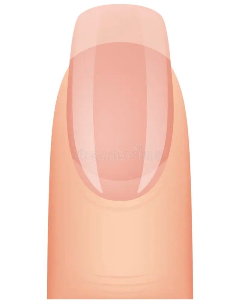 Hard Gel/Acrygel