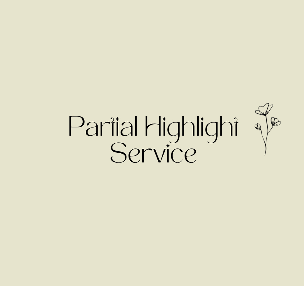 Partial Highlight Service at Hair By Chey in New Bern, NC