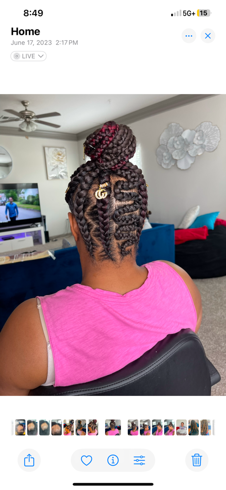 Braided Ponytail (Large)